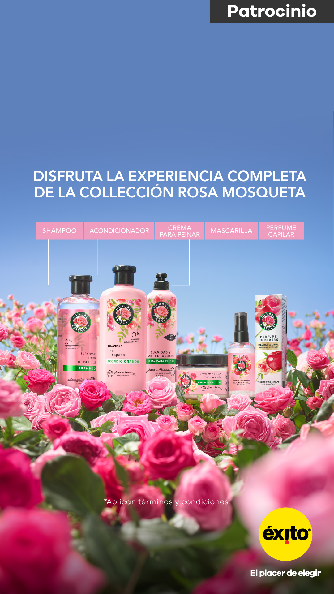 Éxito Facebook ad