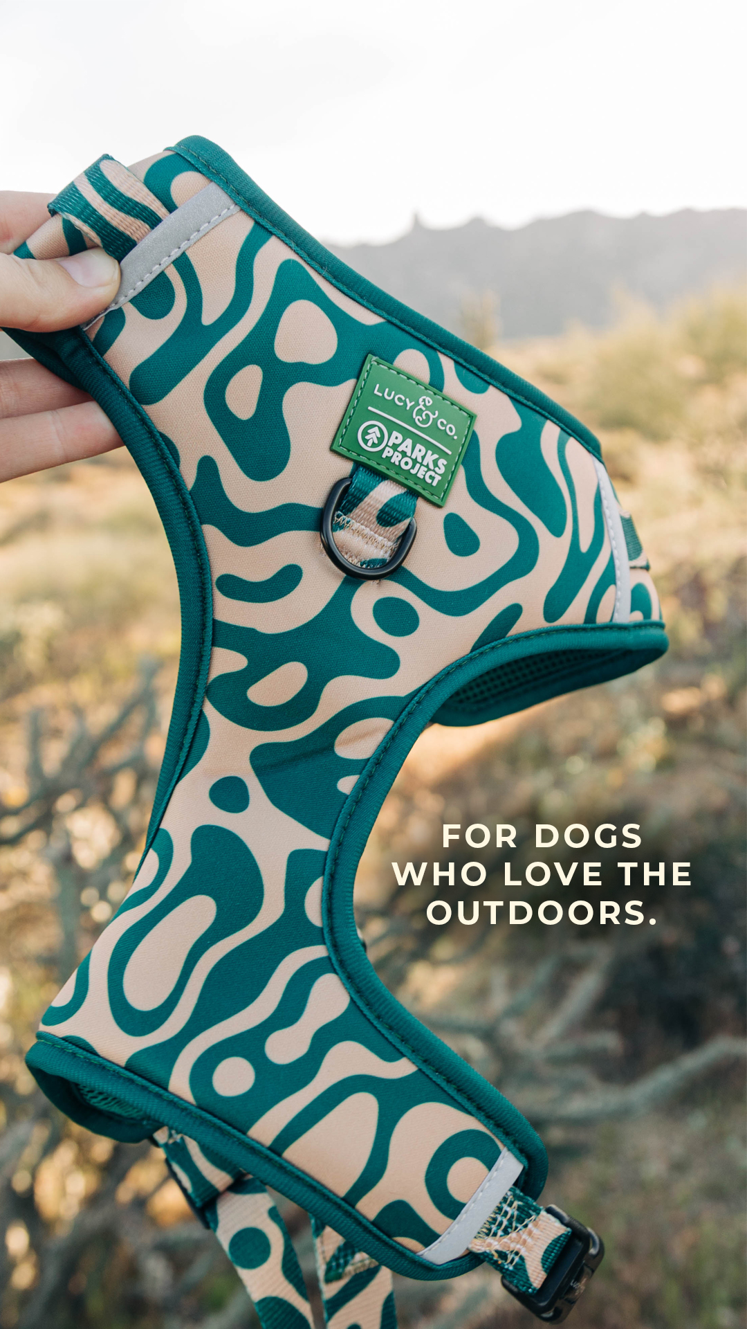 Lucy & Co. Facebook ad