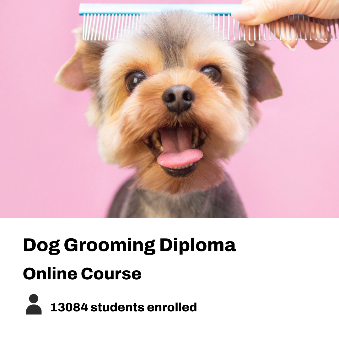 New Skills Academy Facebook ad