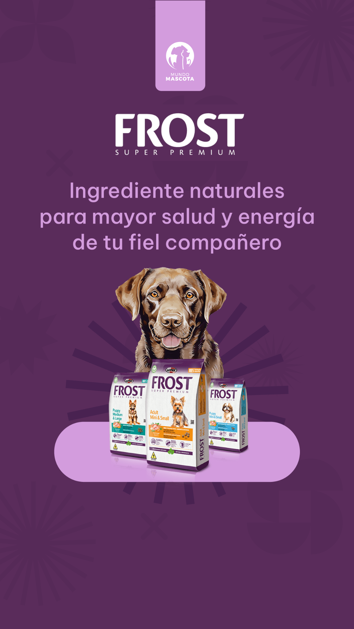 Mundo Mascota Facebook ad