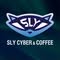 SLY Cyber Gaming 65 - 67 Phan Thanh - Đà Nẵng