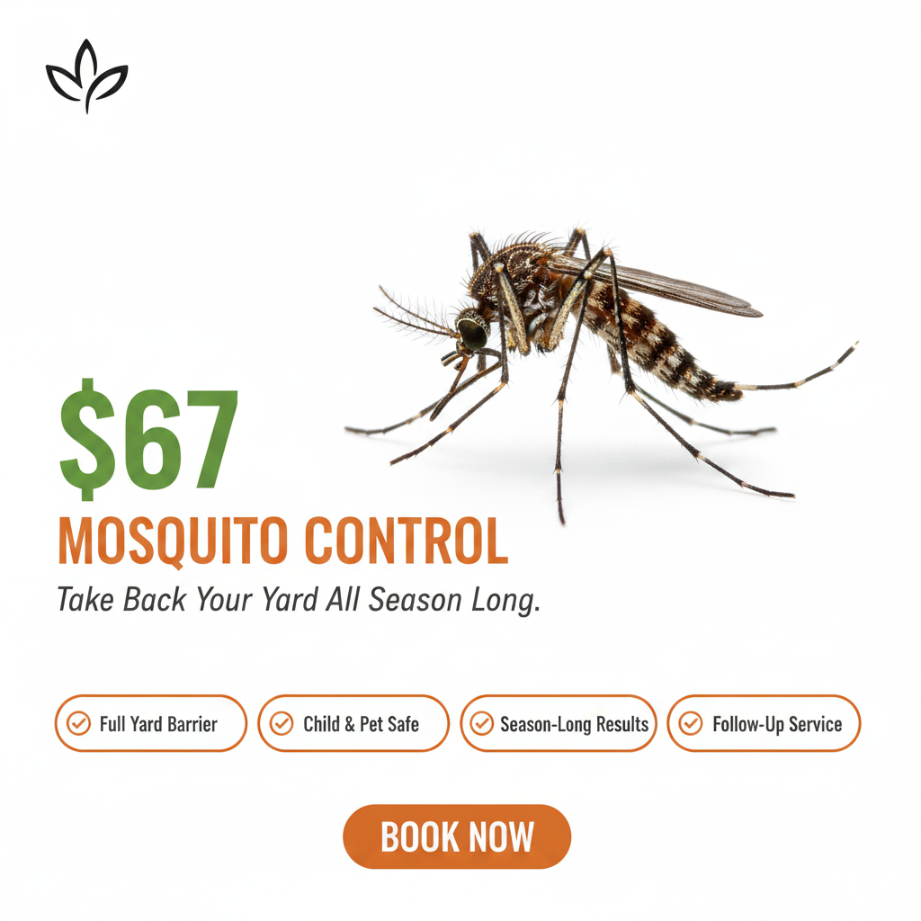 Brooks Pest Solutions Facebook ad