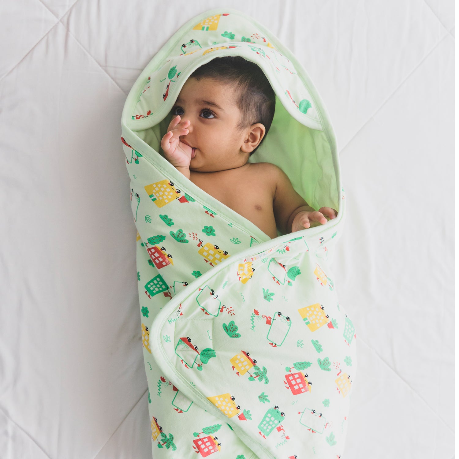 Tidy Sleep Facebook ad: Looking for the perfect nap buddy for your…