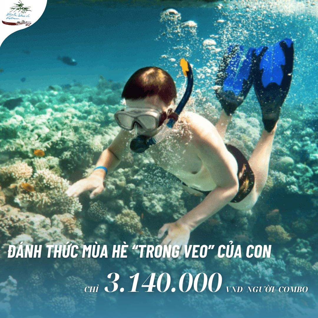 Whale Island Resort Vietnam Facebook ad: ĐÁNH THỨC MÙA HÈ TRONG VEO CỦA CON…