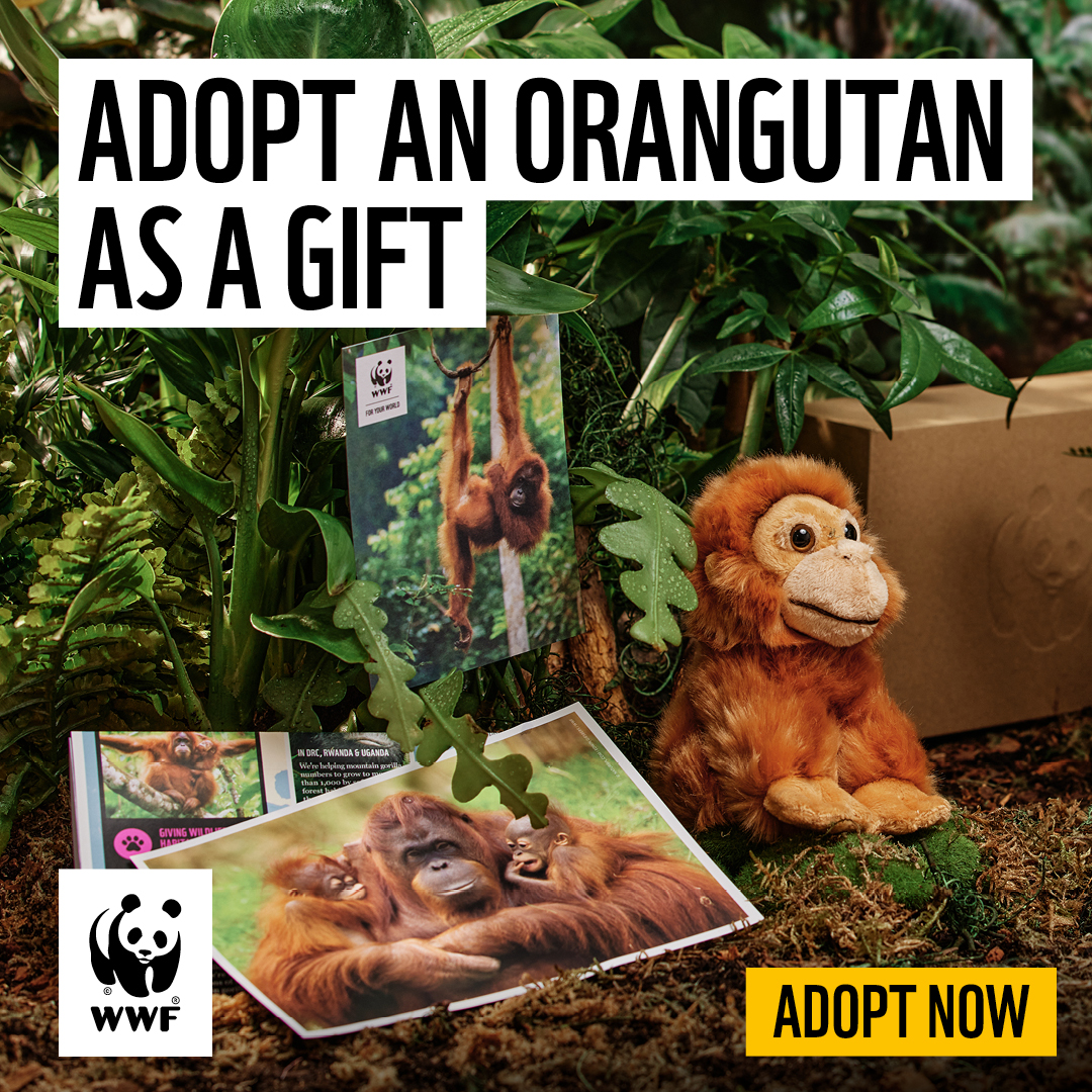 WWF UK Facebook ad