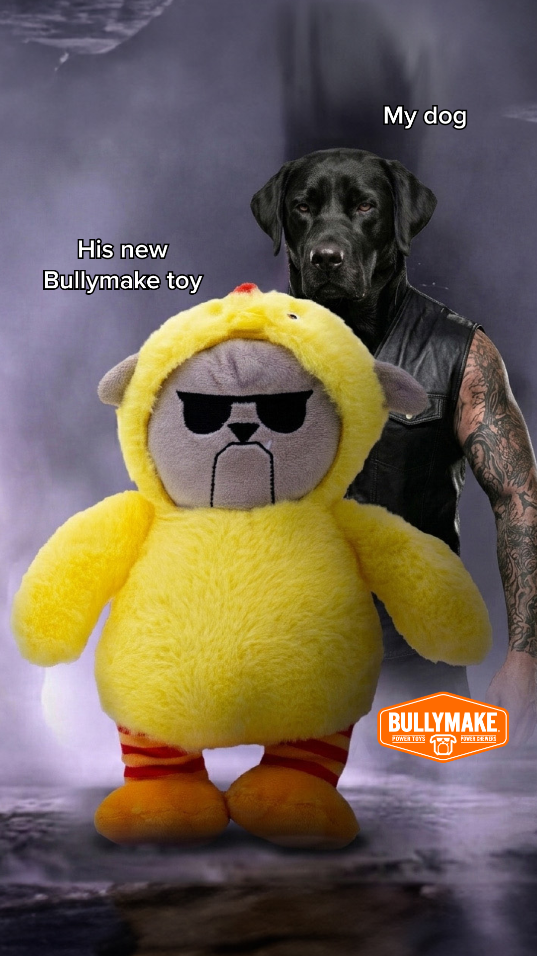 BULLYMAKE Facebook ad