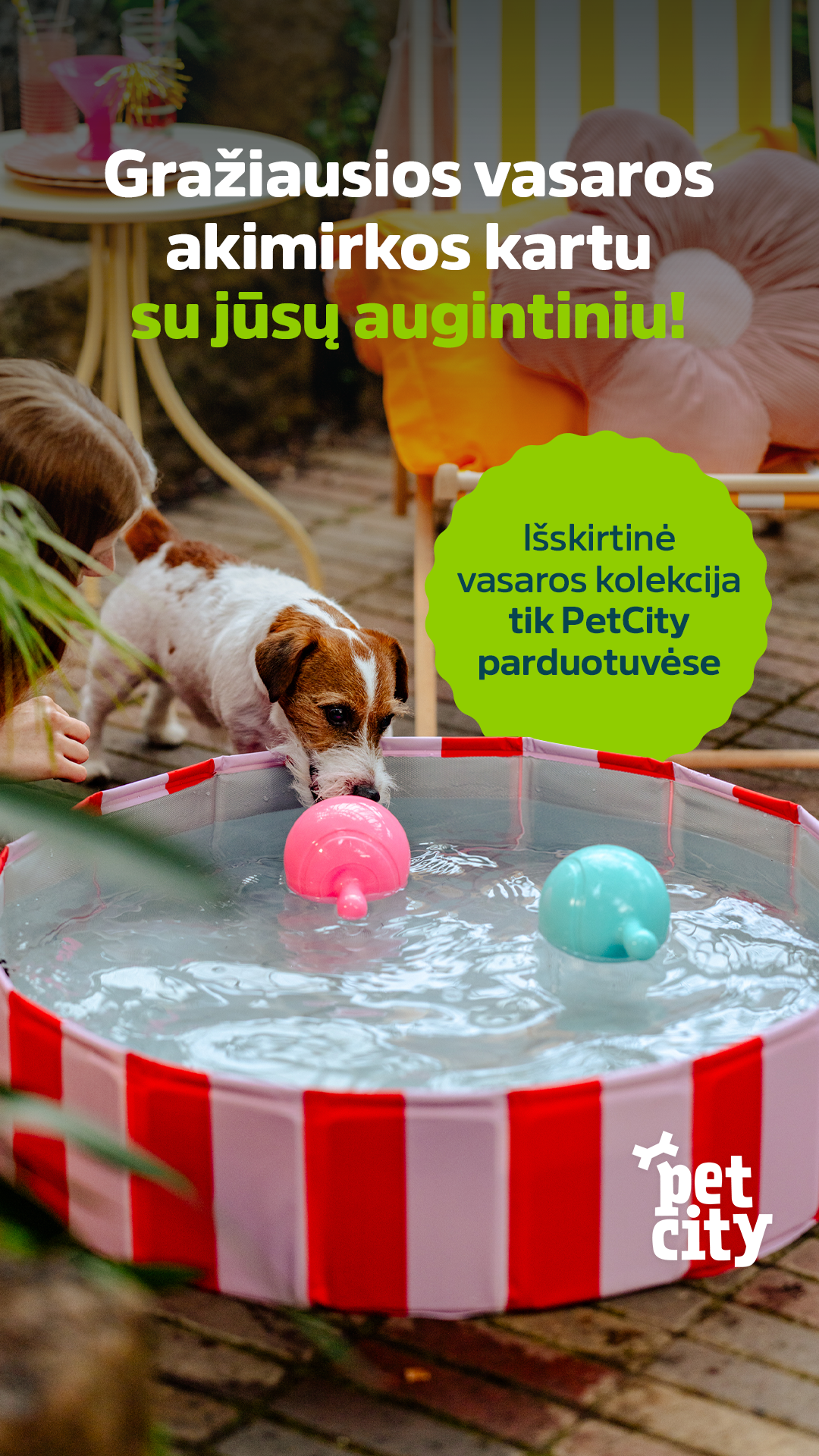 PetCity Lietuva Facebook ad