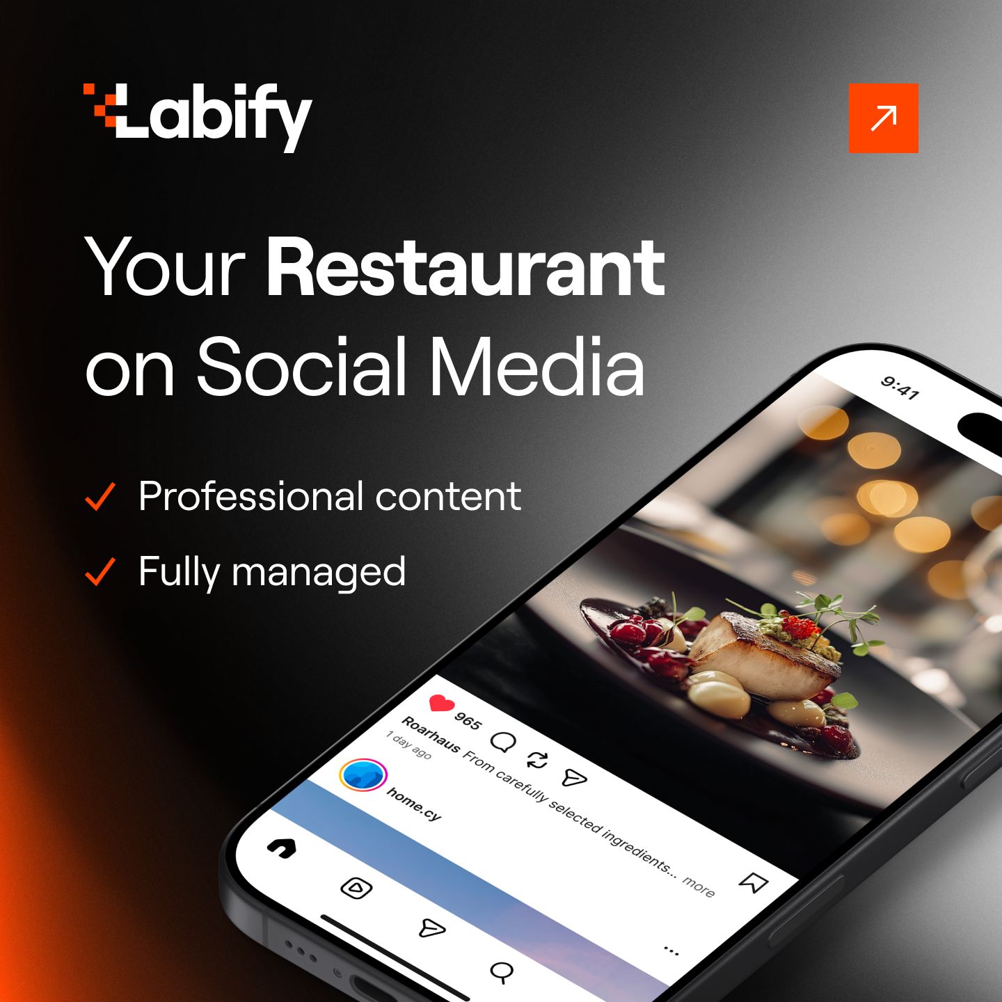 Labify Facebook ad
