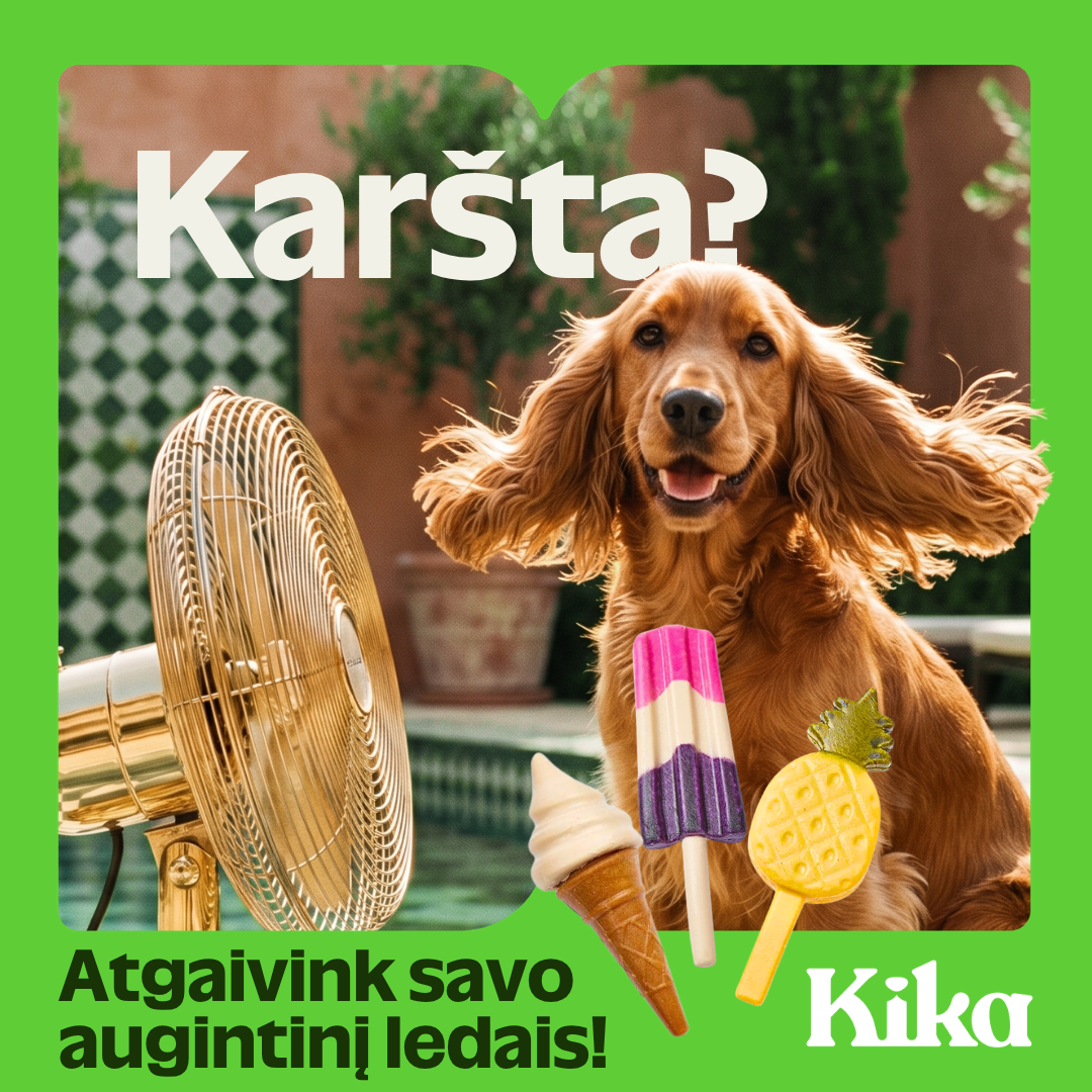 KIKA Facebook ad