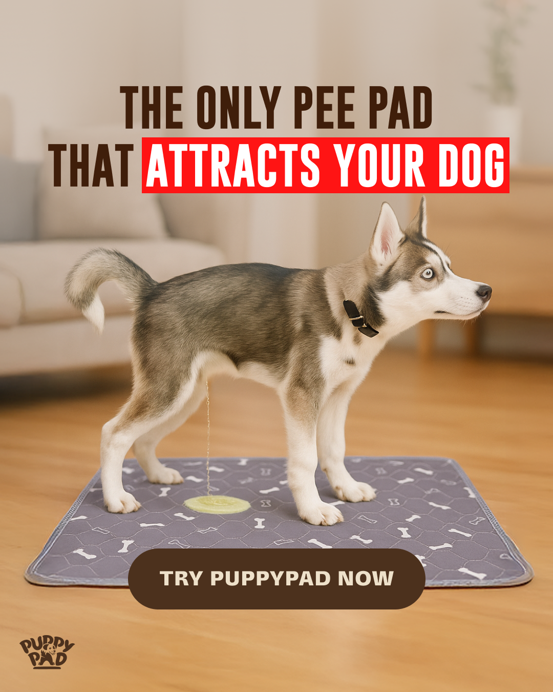PuppyPad Facebook ad