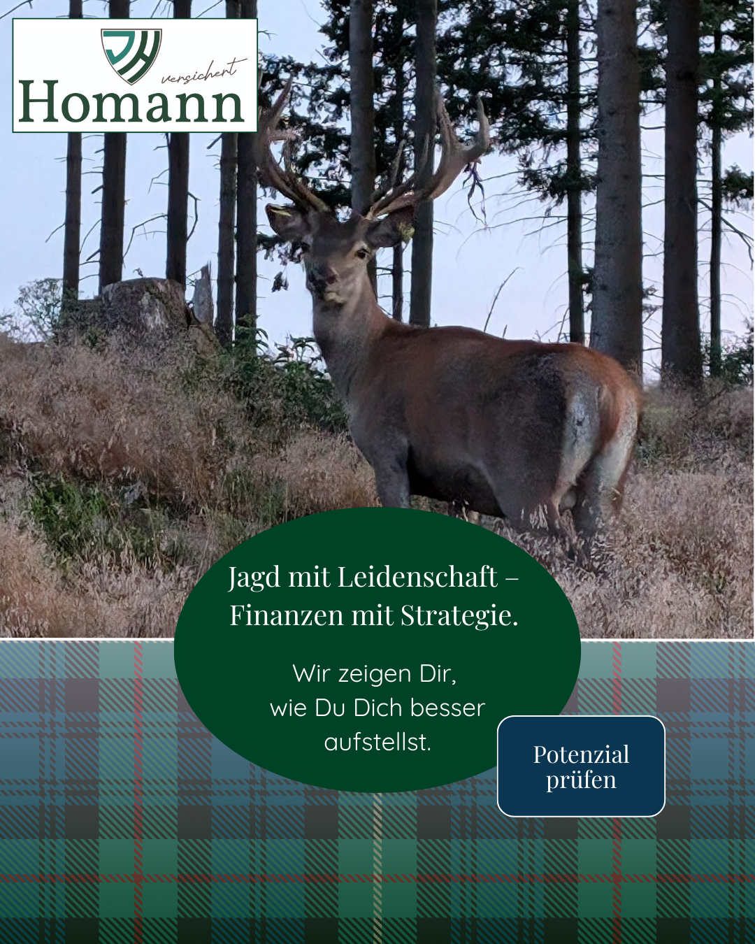 Homann Versichert Facebook ad