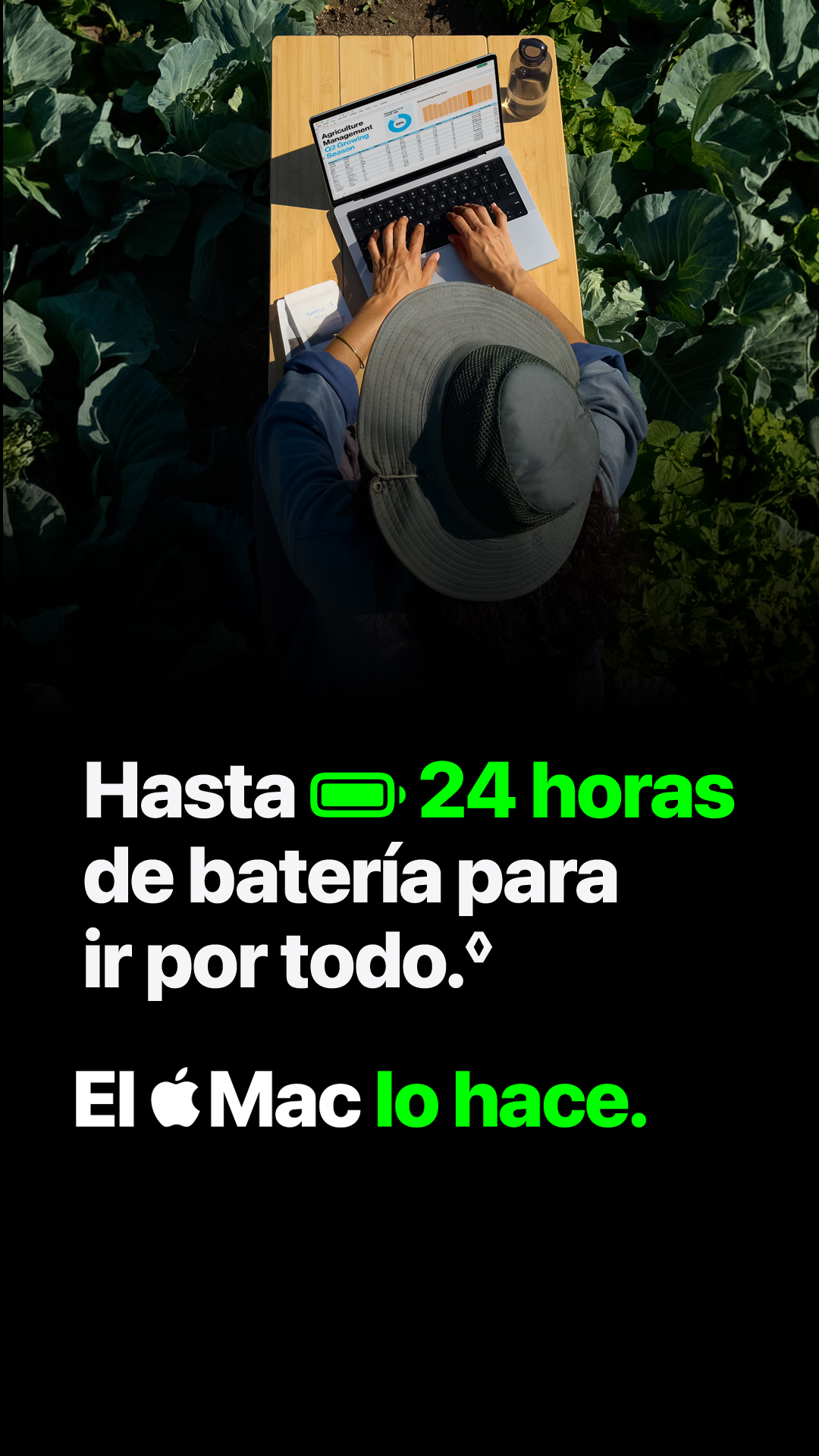 Falabella Facebook ad