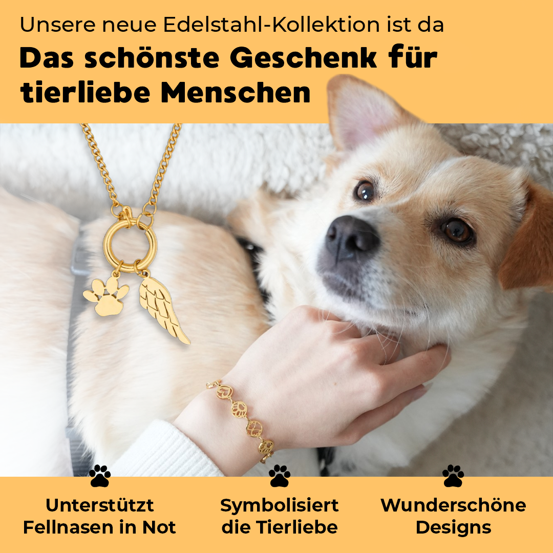 Tierseelen Facebook ad: Das Geschenk für Hundeliebhaber