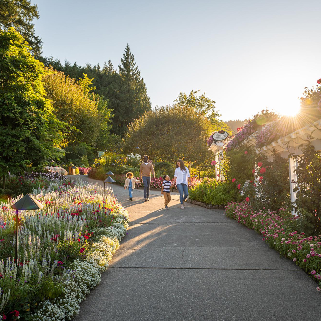 Destination Greater Victoria Facebook ad
