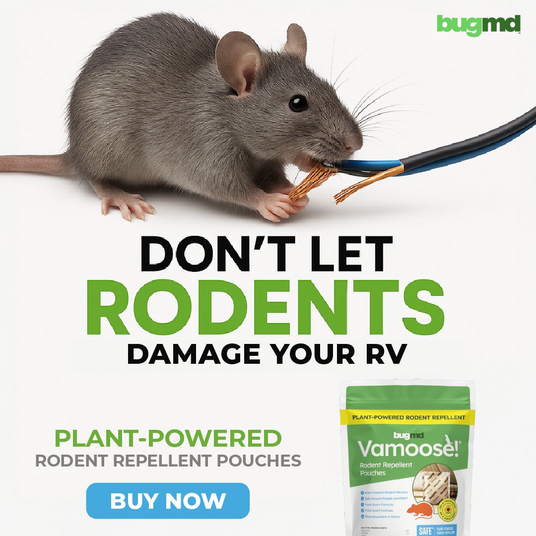 RV Life 101 Facebook ad