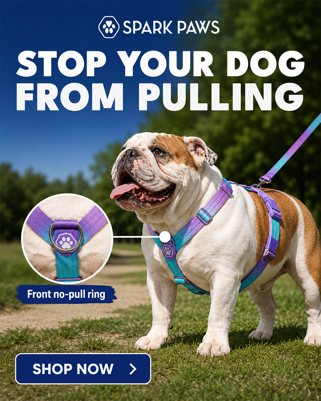 Spark Paws Facebook ad