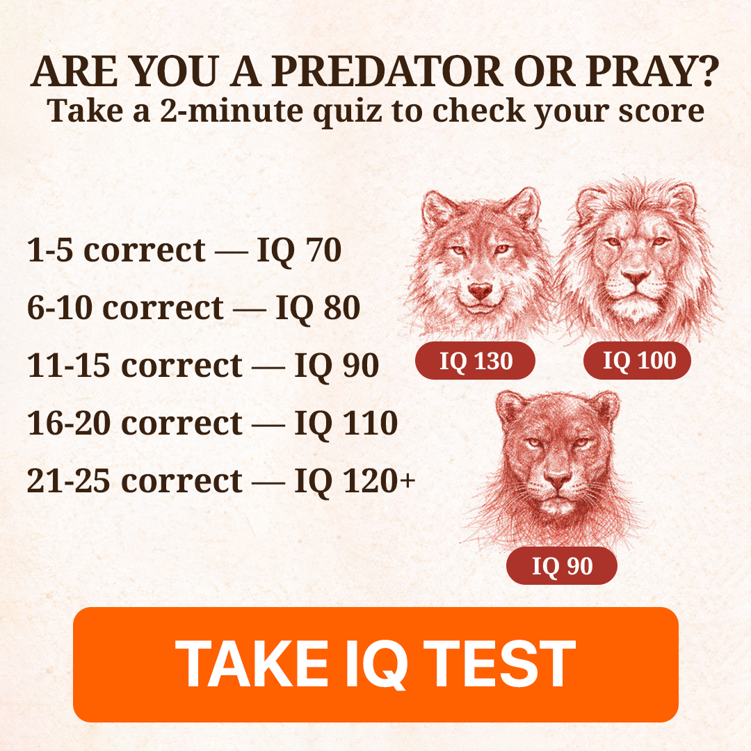 My IQ Facebook ad