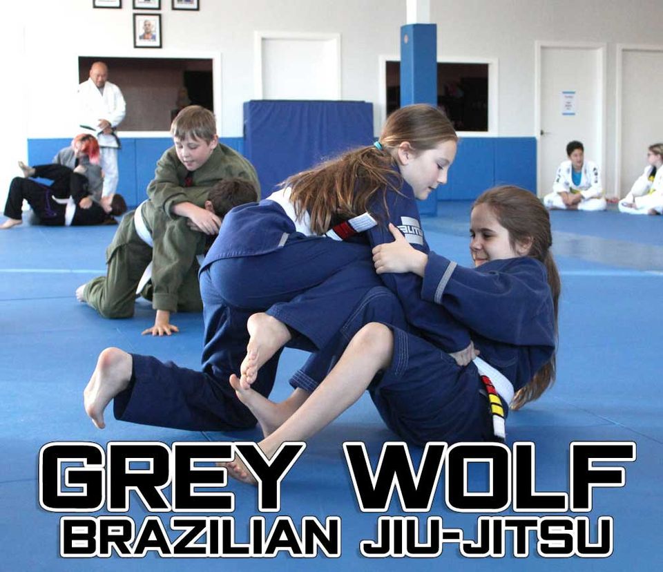 Grey Wolf Brazilian Jiu-Jitsu Facebook ad: Try out our Martial Arts program, available for…