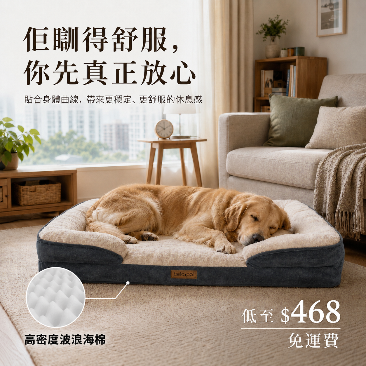 PatPat Pets Facebook ad