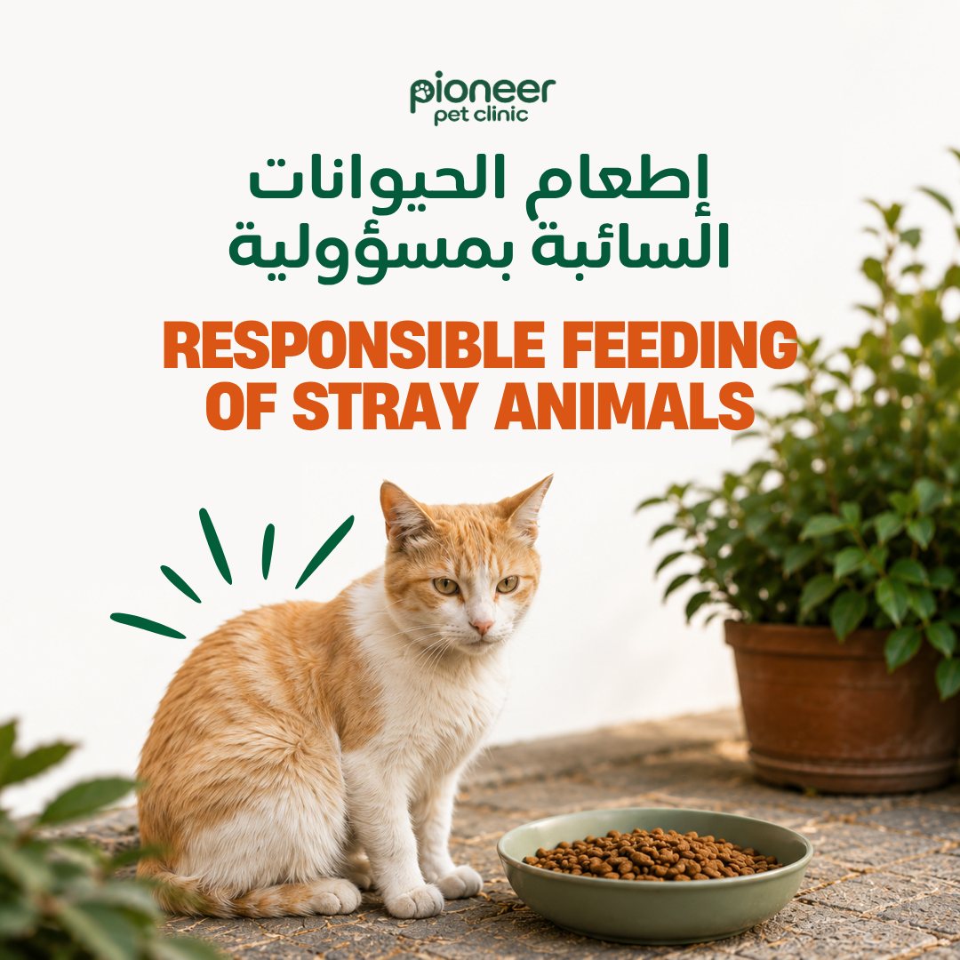 Pioneer Pet Clinic Facebook ad