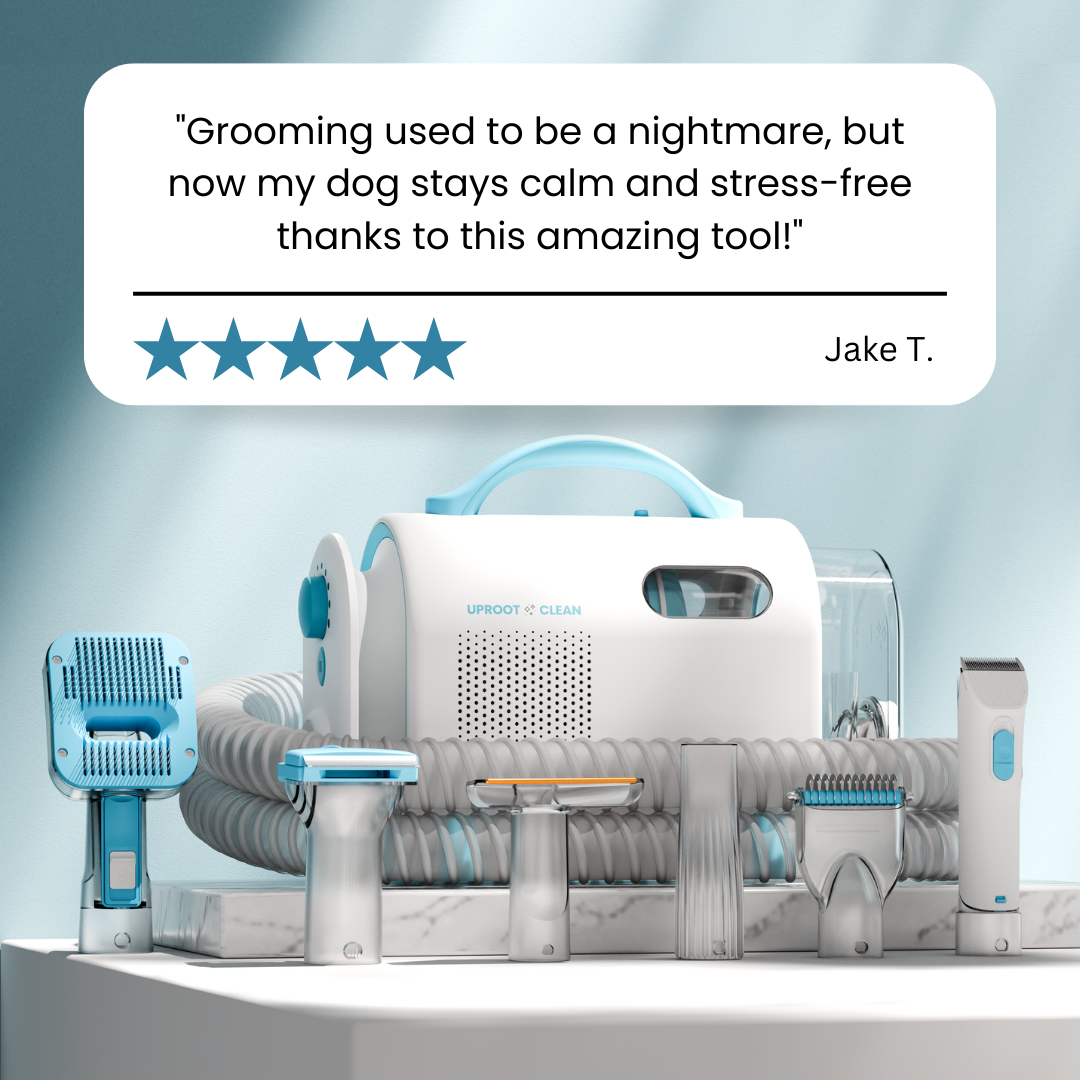 Uproot Clean Facebook ad