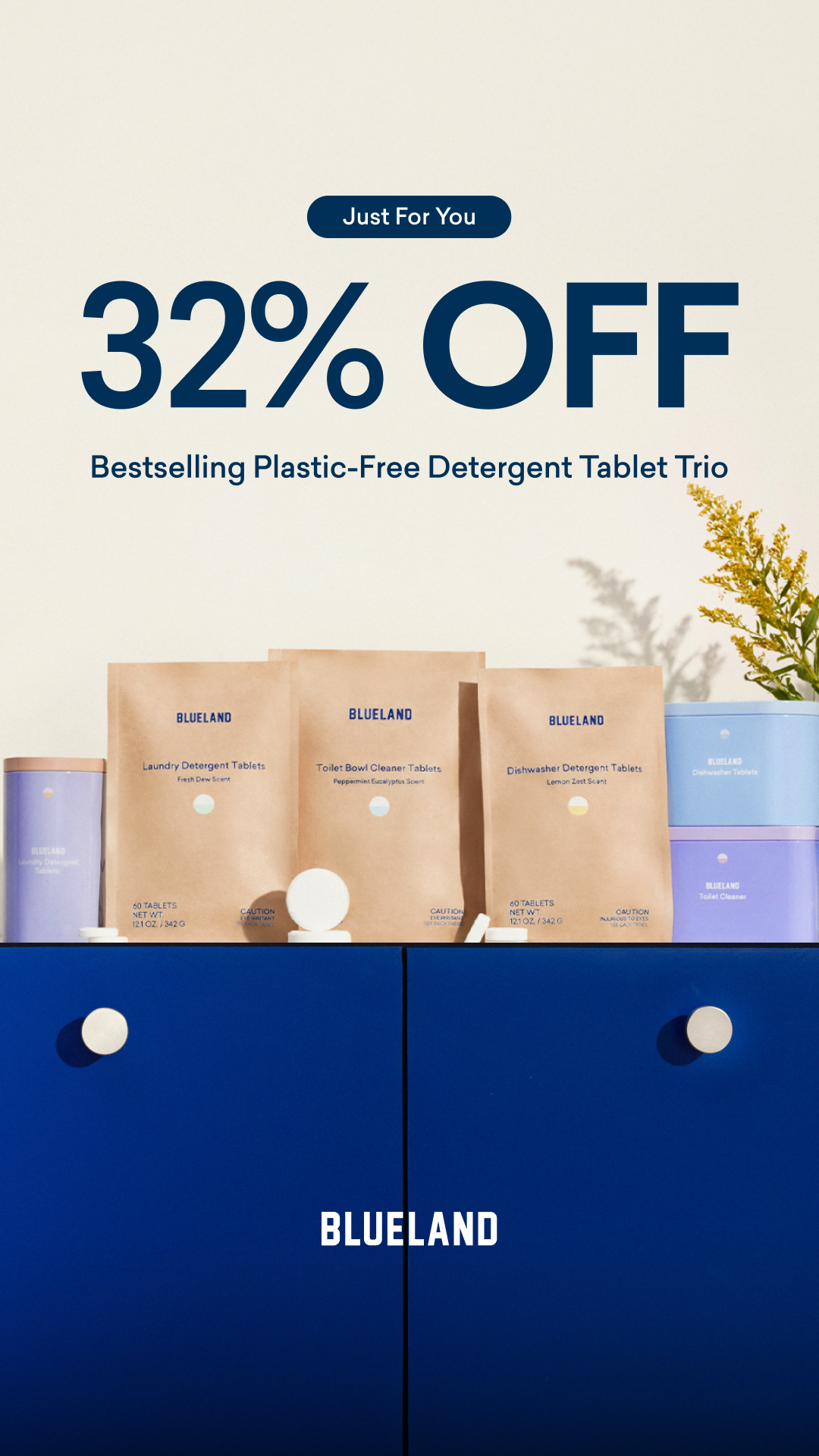 Blueland Facebook ad