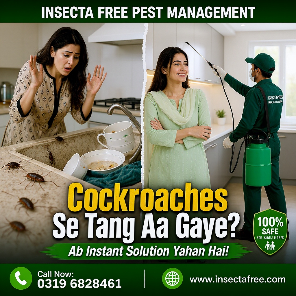 Insecta Free - Pest Management Services Facebook ad: Stop Cockroaches Before They Take Over