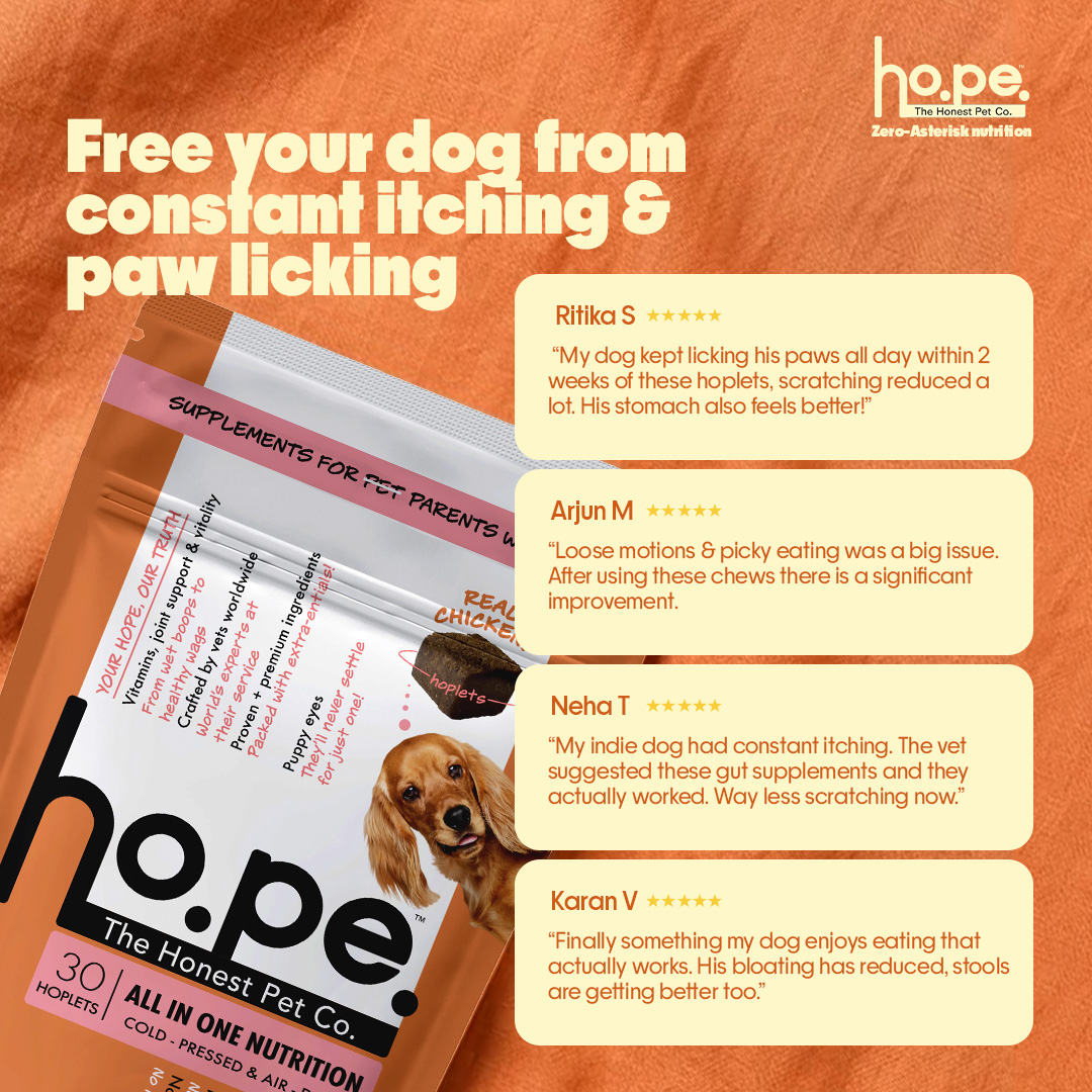 honest.pet.co Facebook ad: From Itching to Relief