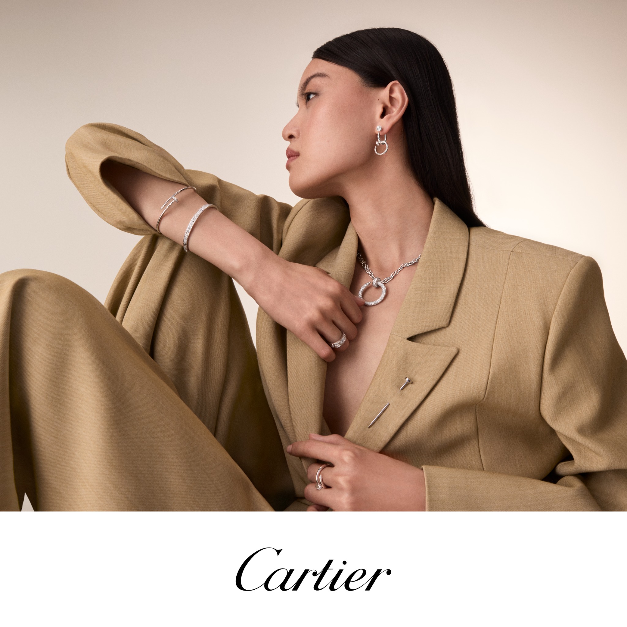 Cartier Facebook ad