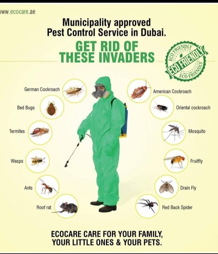 Al Madina Pest Control Service Facebook ad: SPECIAL WEEKEND PEST CONTROL OFFER