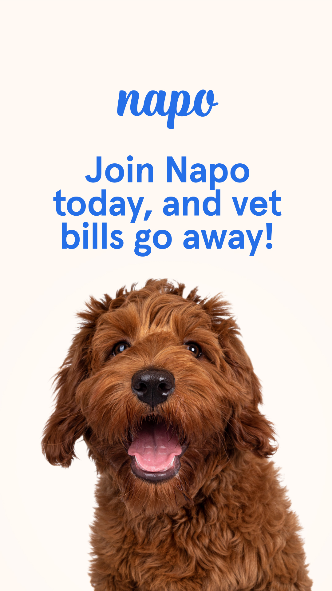 Napo Pet Insurance Facebook ad