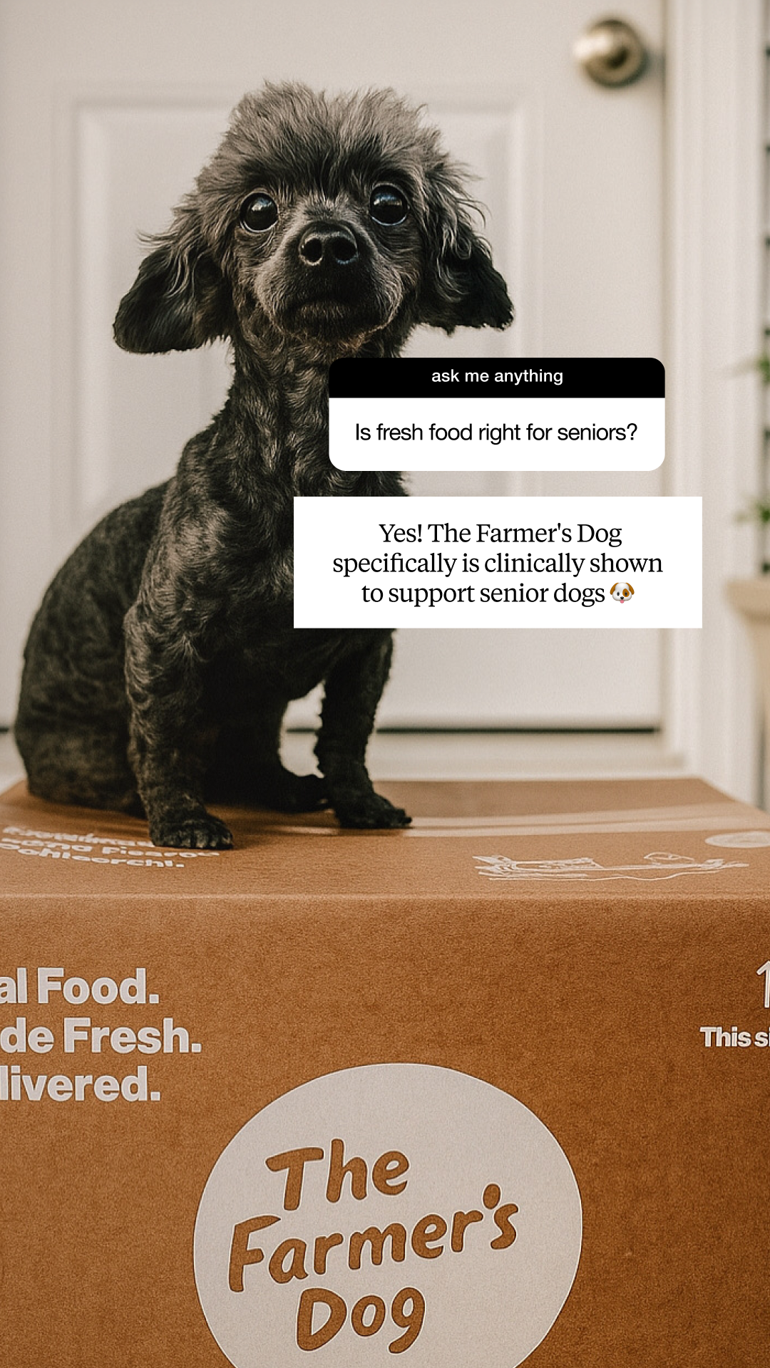 The Farmer's Dog Facebook ad