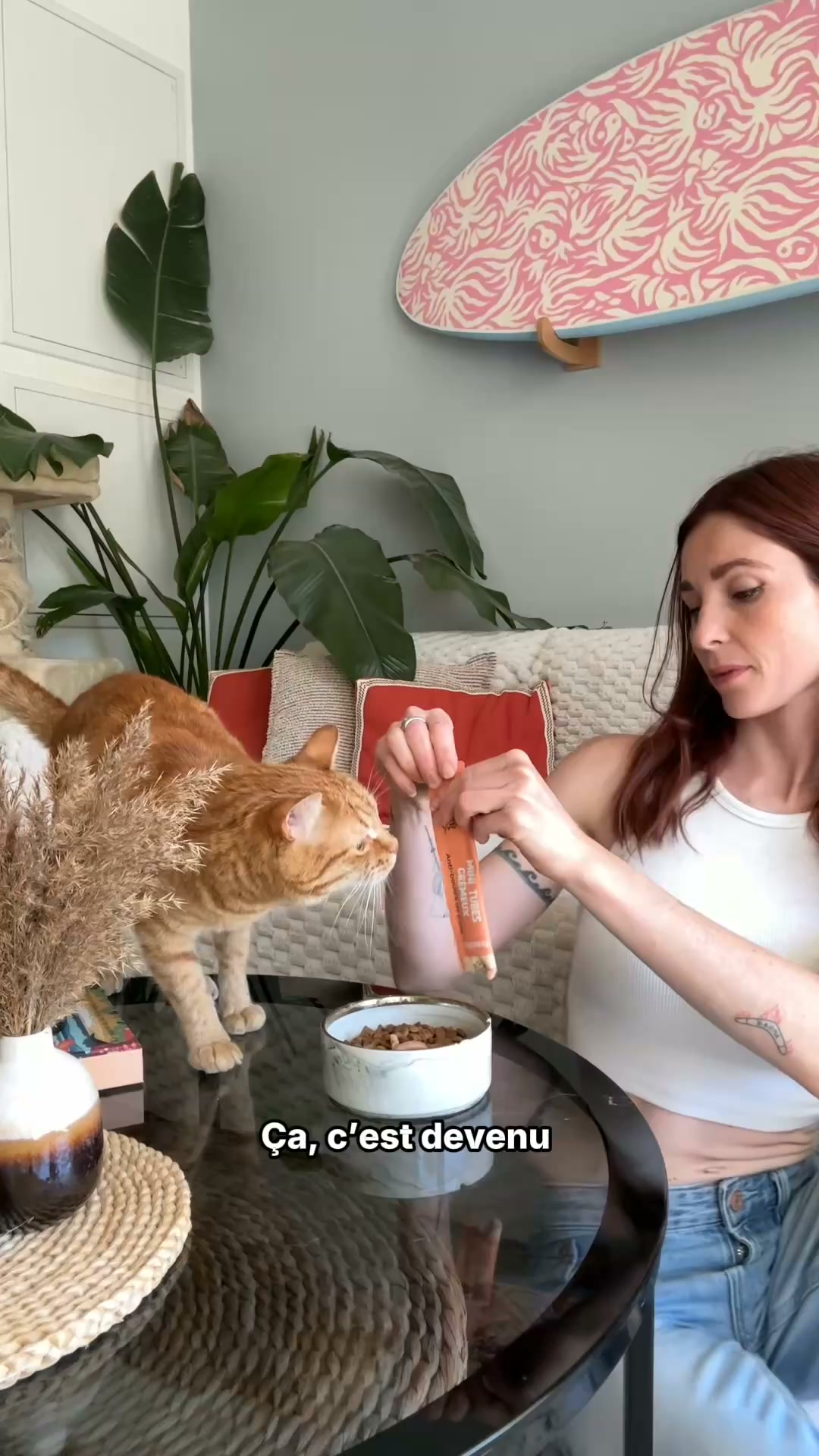 Franklin Pet Food Facebook ad: Le trio parfait