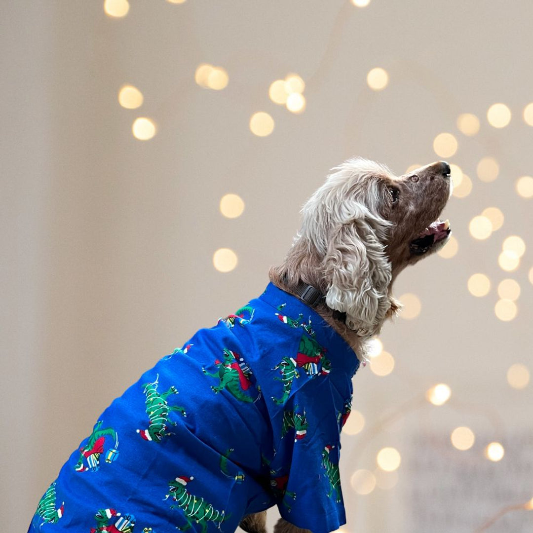 Pet Set Go Facebook ad