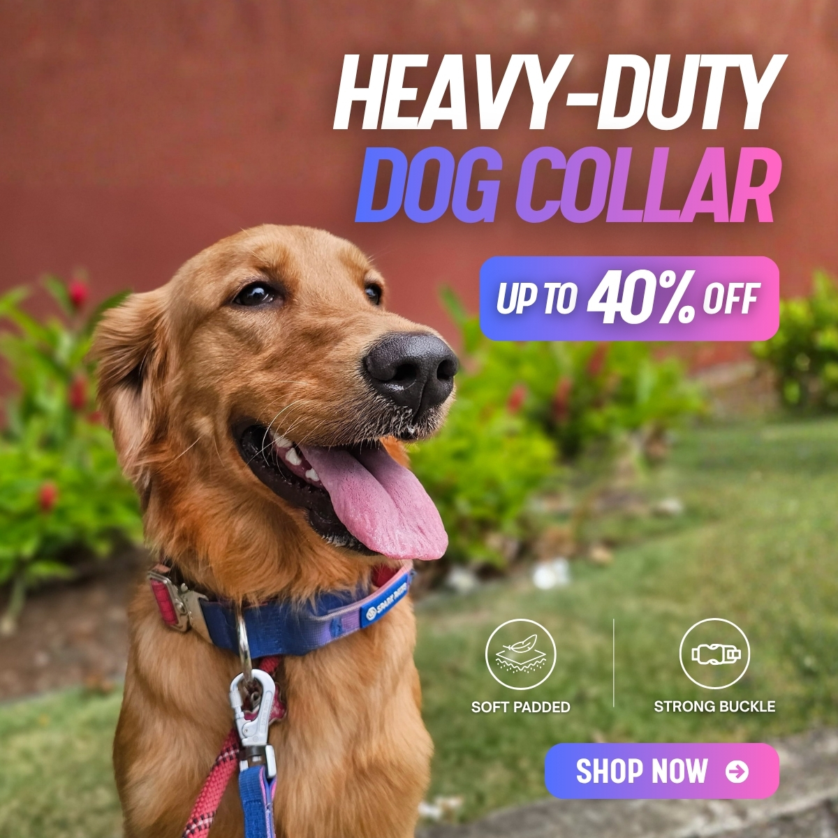 Spark Paws Facebook ad
