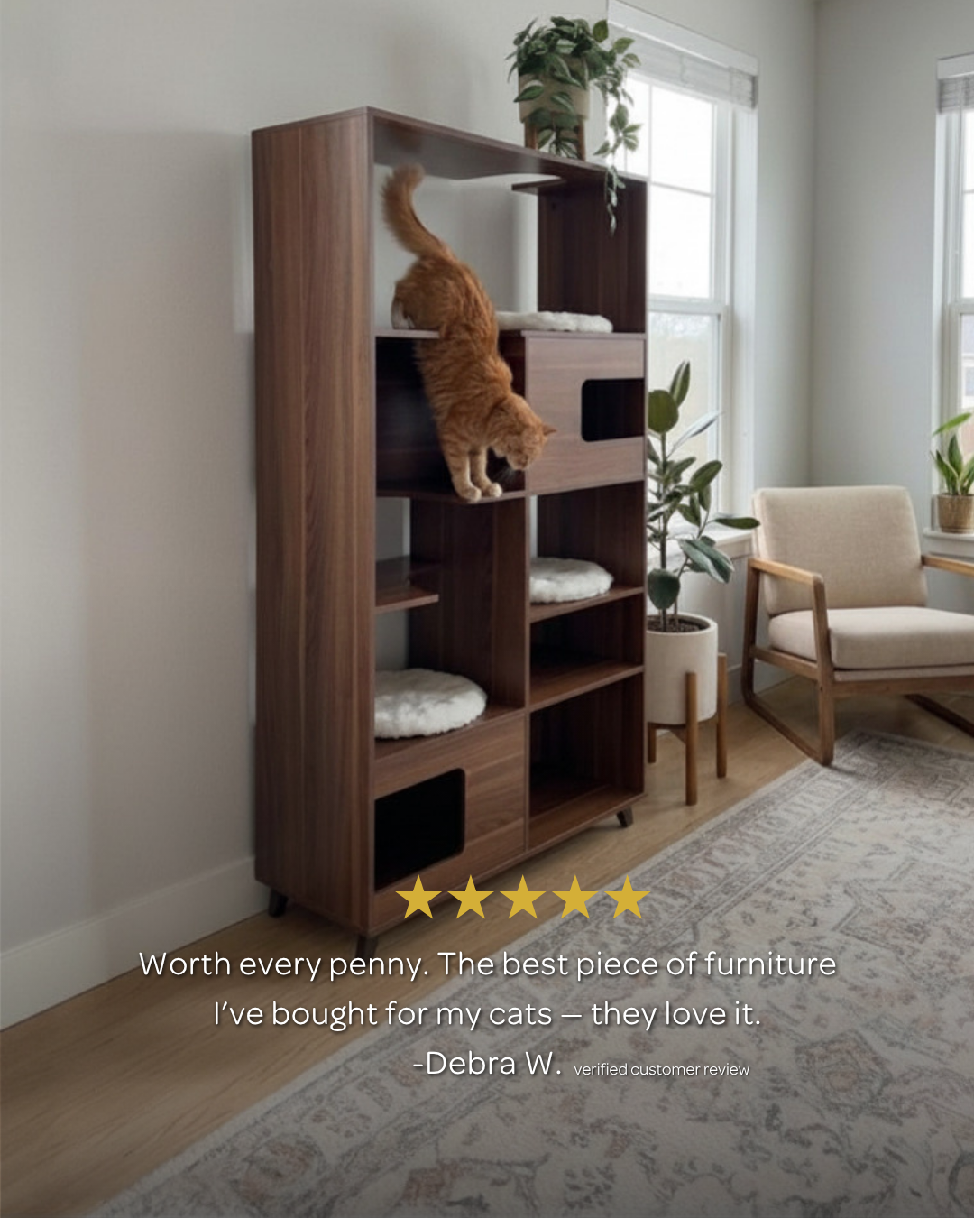 4 Cats & Dogs Home Furnishings Facebook ad
