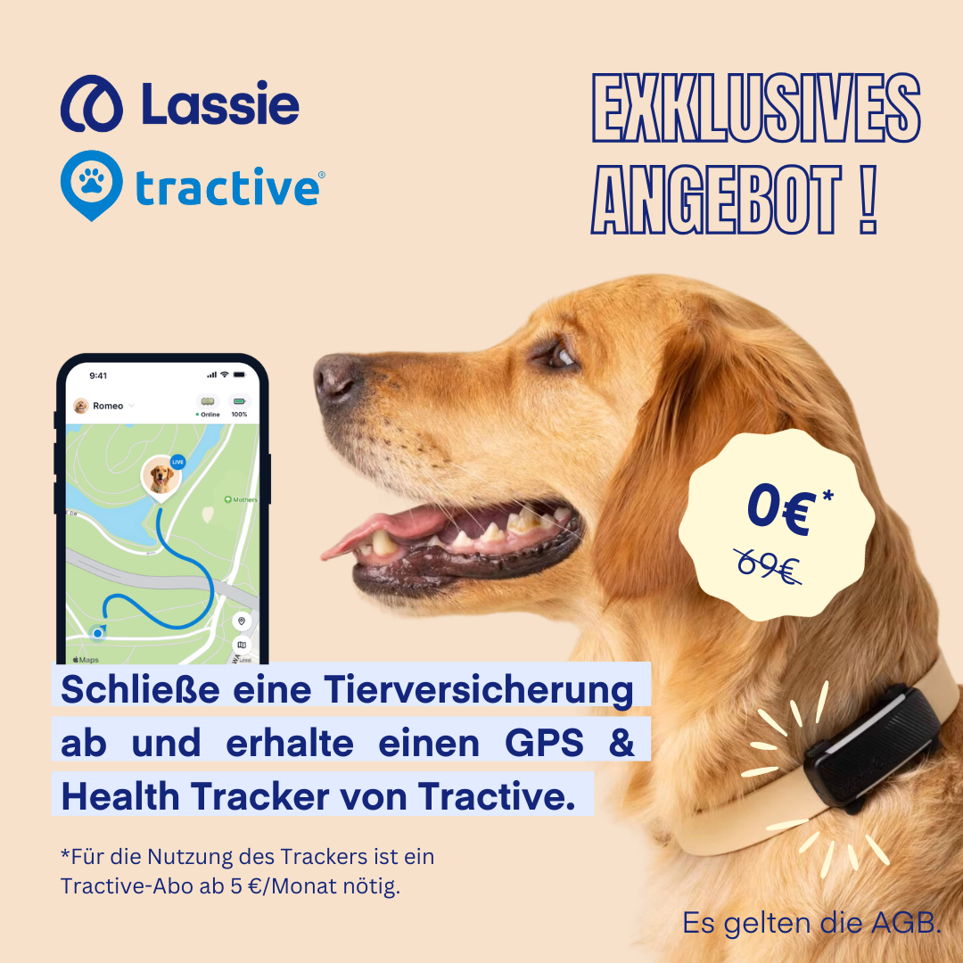 Lassie Deutschland Facebook ad