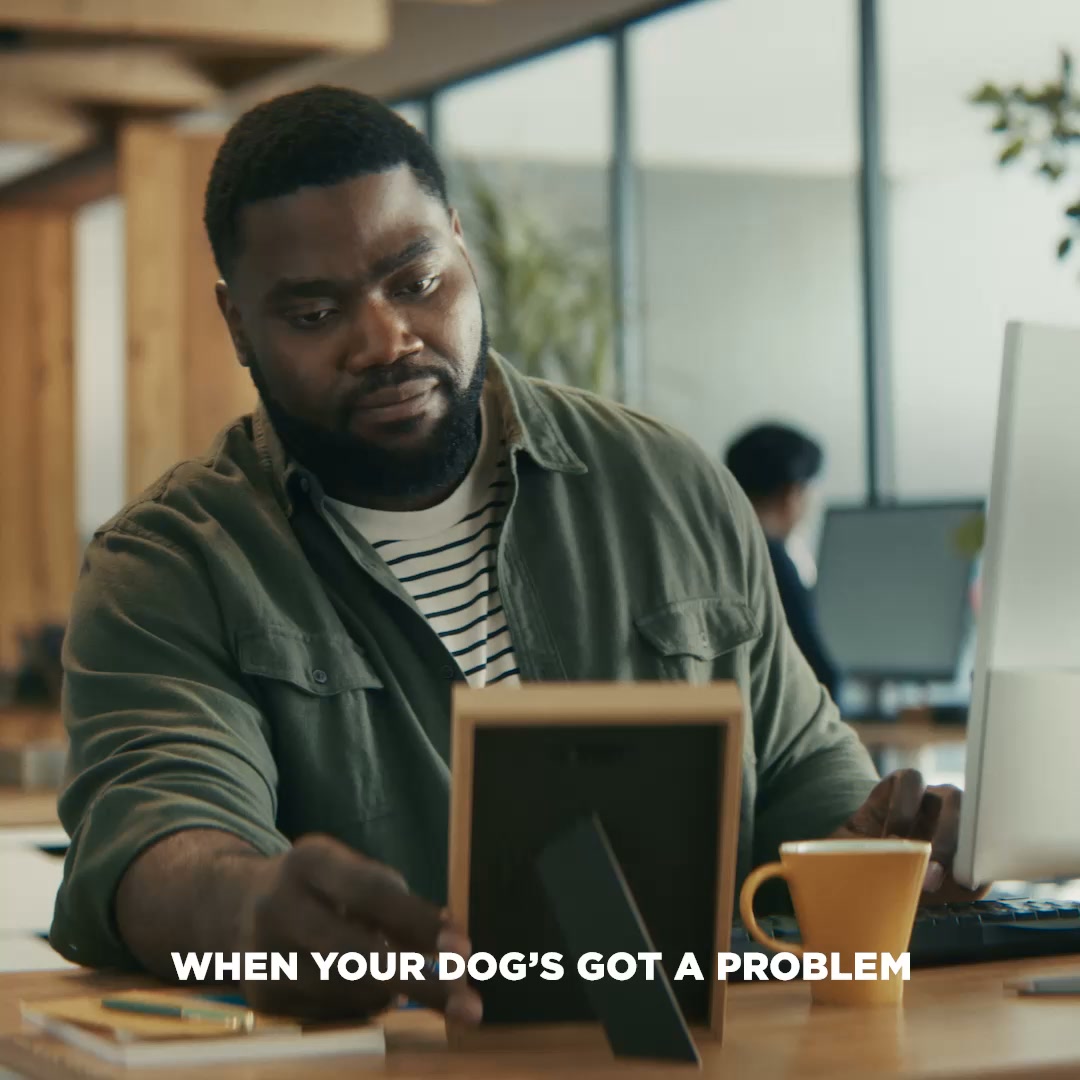 Go Solutions Pet Food Facebook ad: Pet problem on your mind?
