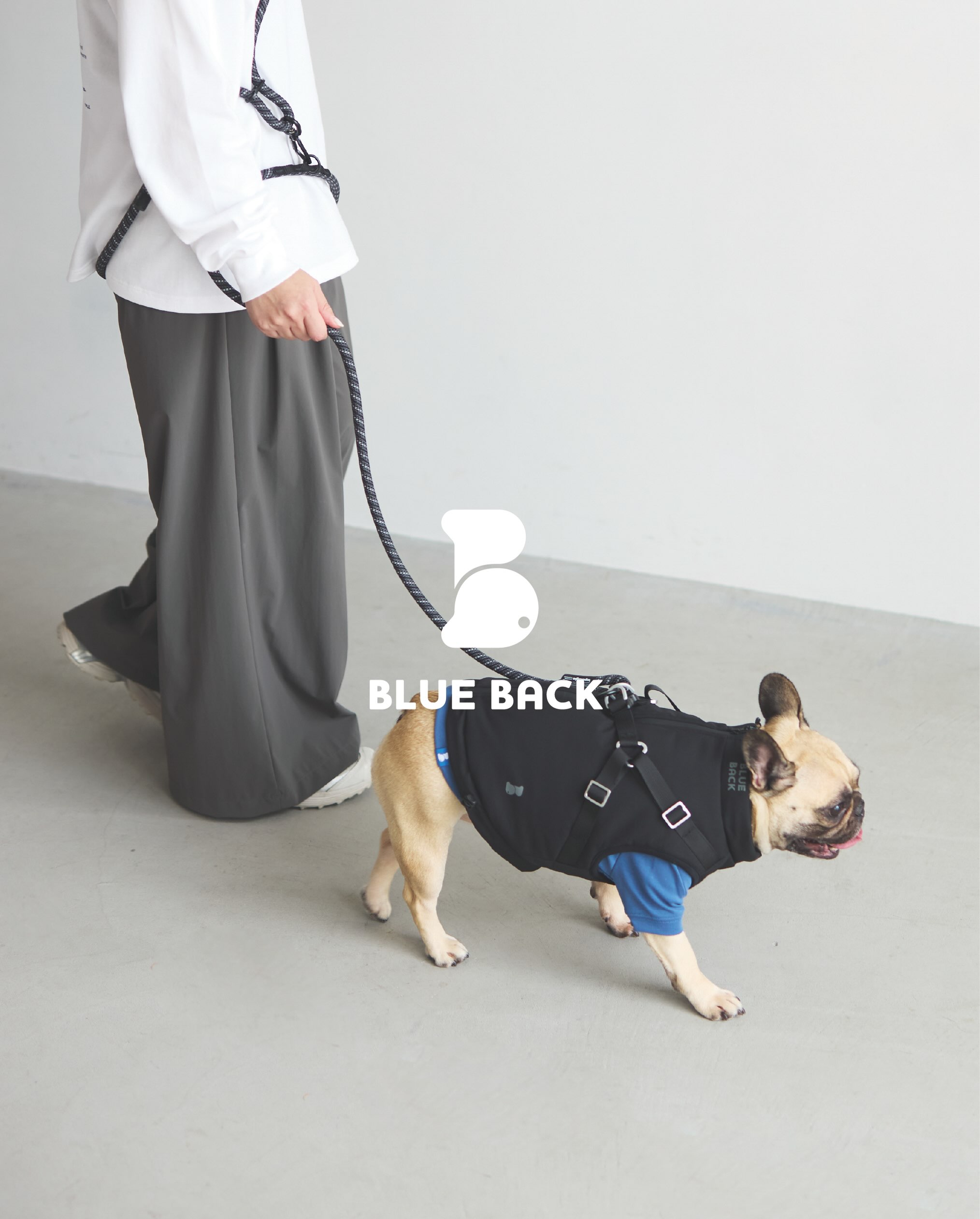 BLUEBACKgear Facebook ad: BLUE BACK / ブルーバック