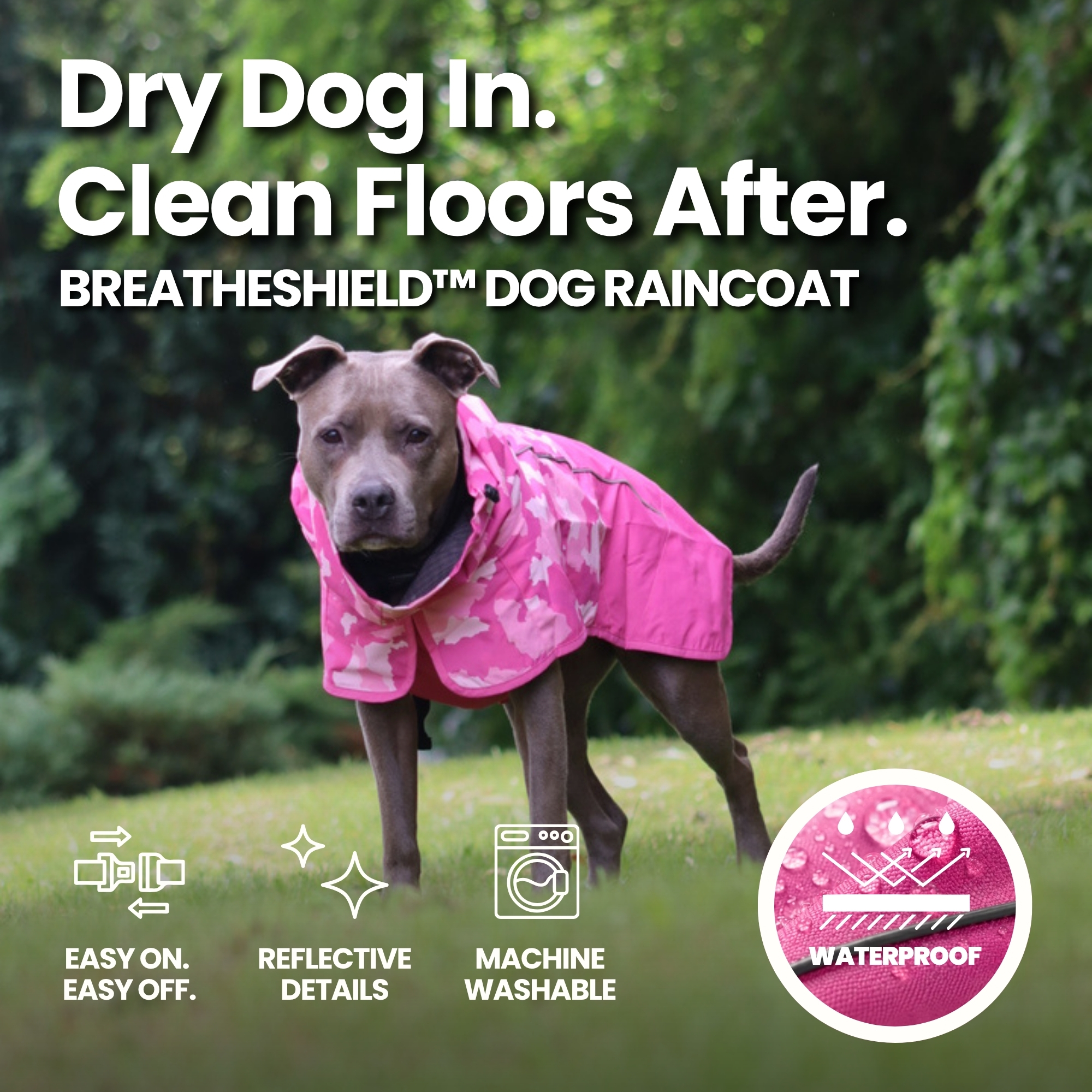 Spark Paws Facebook ad