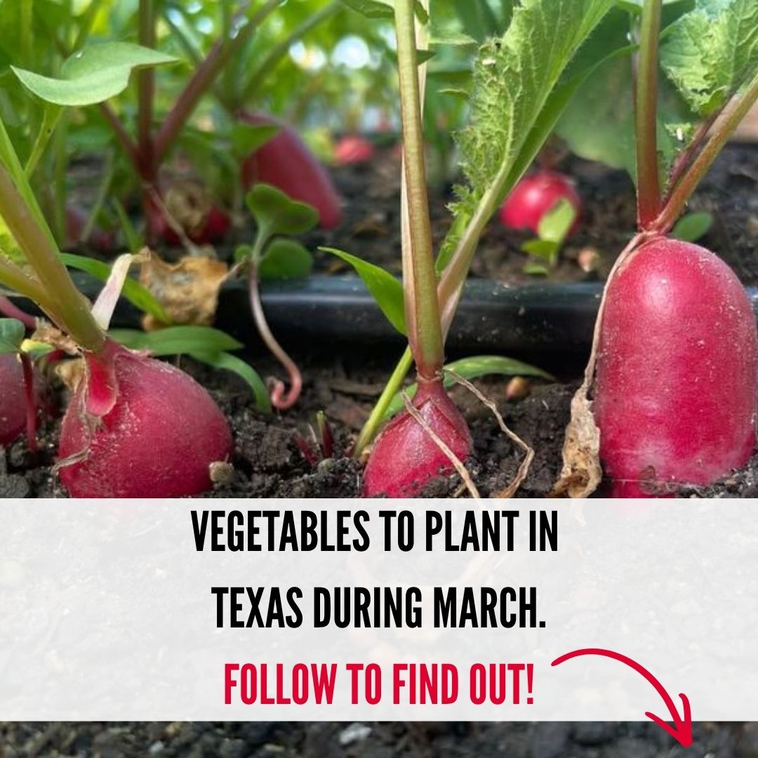 Texas Gardener Facebook ad from Mar 23, 2026