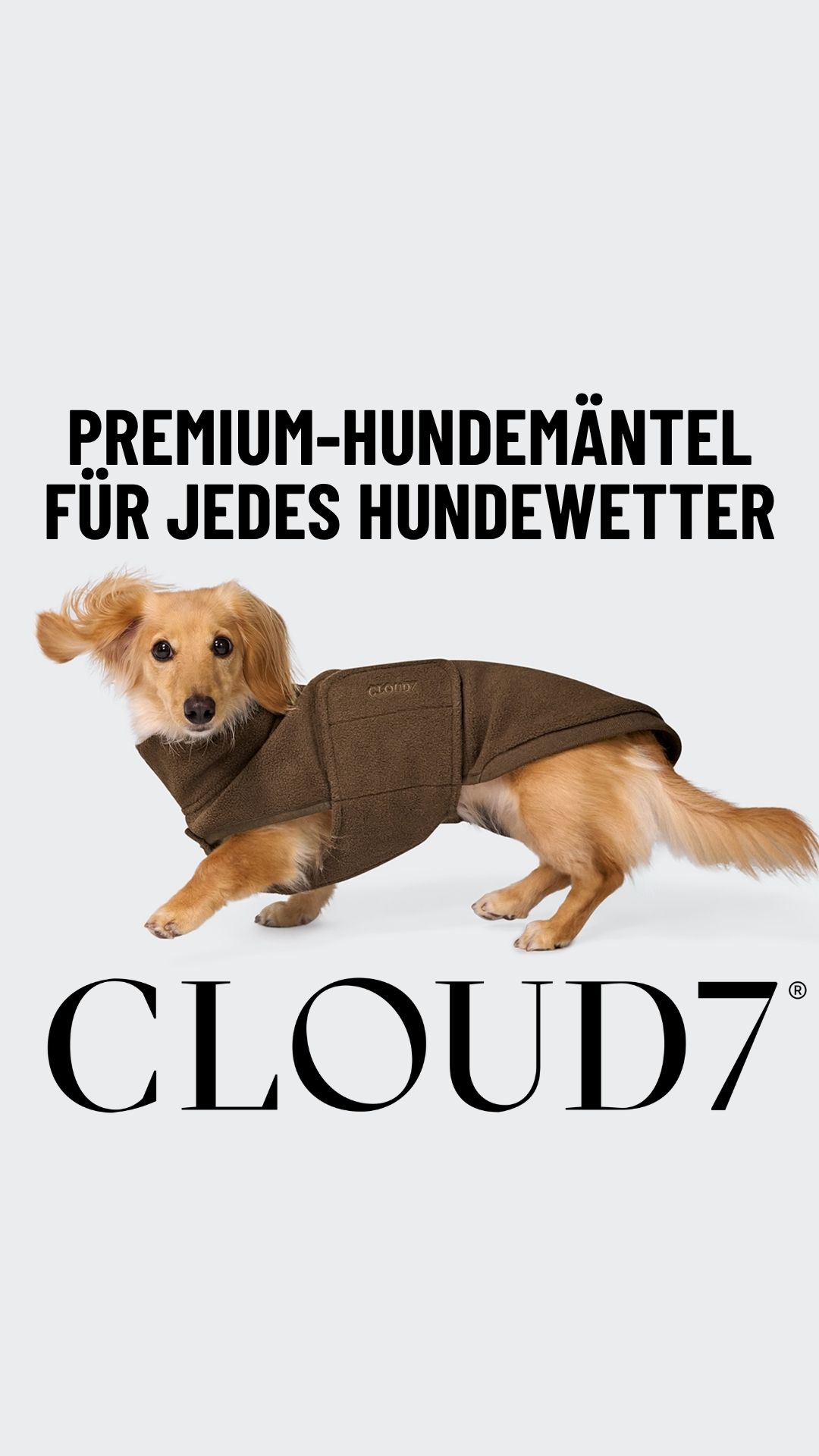 Cloud7 Facebook ad: Wetterfest für jeden Hund