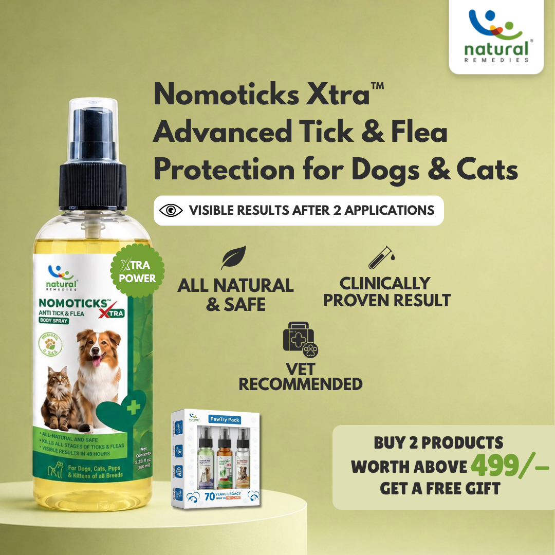 Pet Natural Remedies Facebook ad