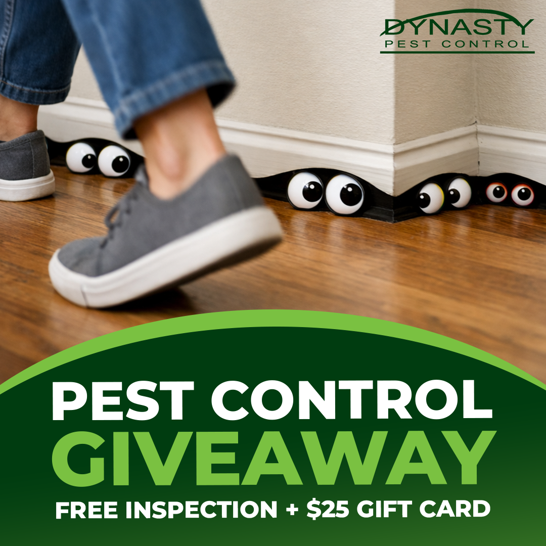 Dynasty Pest Control Facebook ad: Win a $25 Gift Card & More