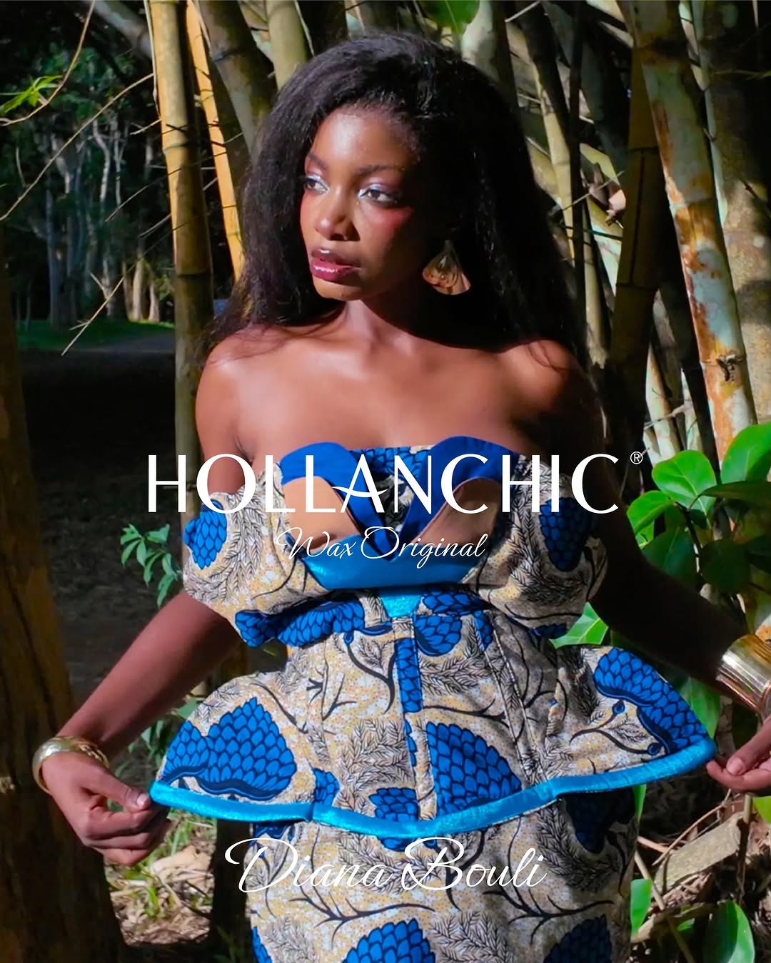 Hollanchic Facebook ad