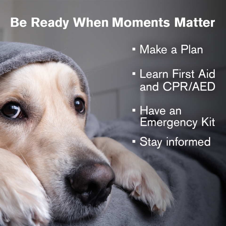 American Red Cross Training Services Facebook ad