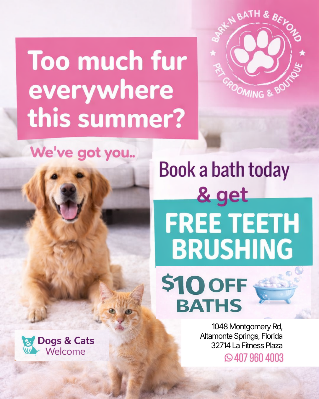 BarknBath and Beyond Facebook ad