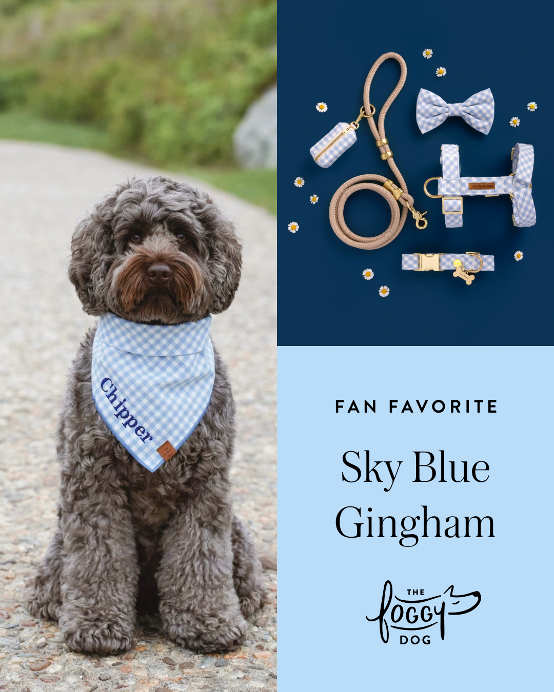The Foggy Dog Facebook ad