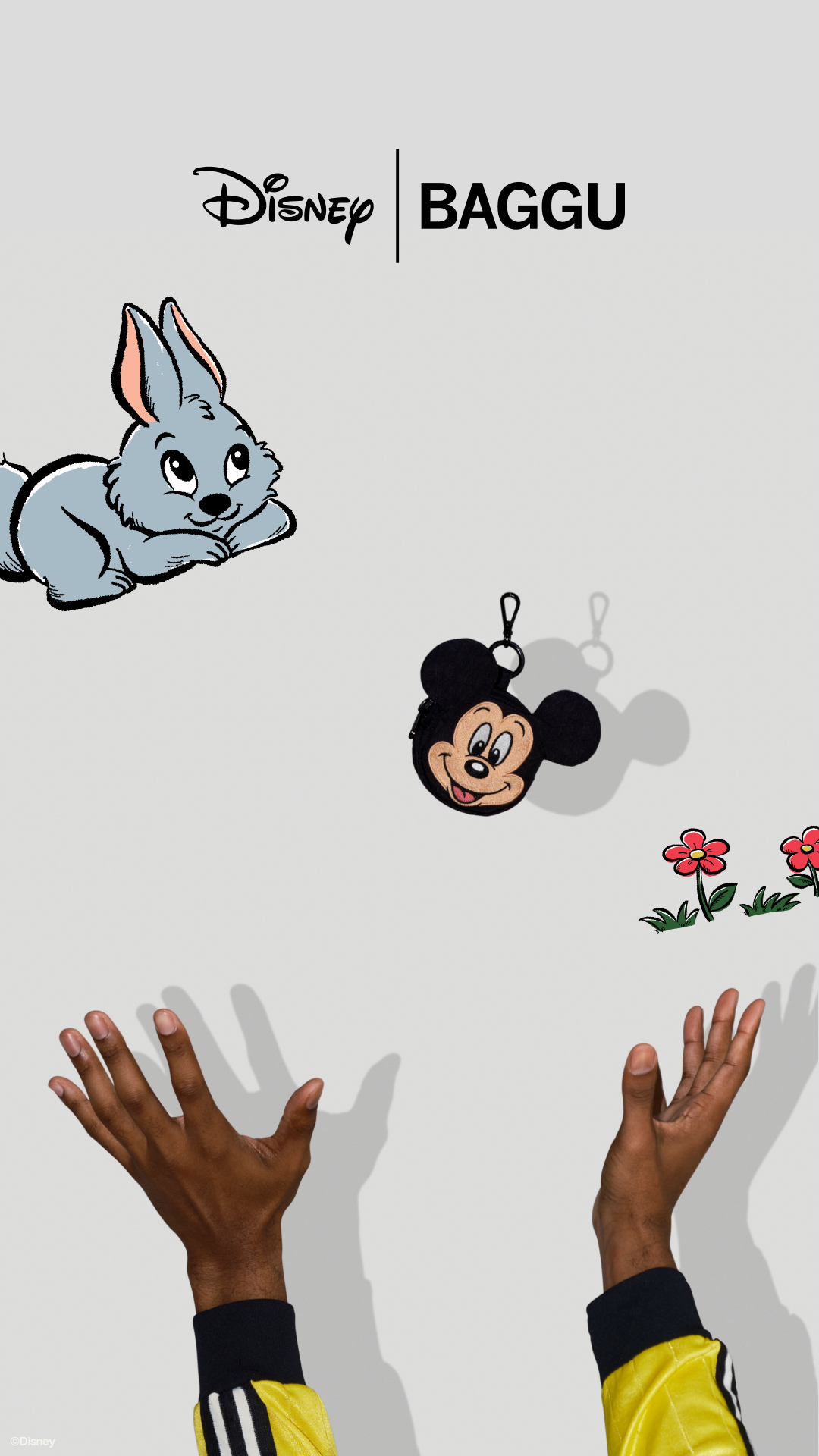 Disney Style Facebook ad