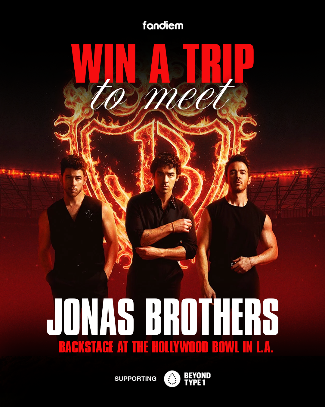 Jonas Brothers Facebook ad: Win a Trip to Meet Jonas Brothers Backstage at the…